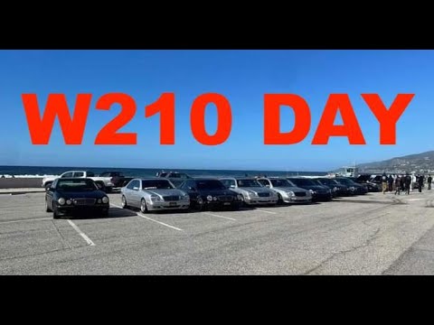 Happy 210 Day Mercedes Meet