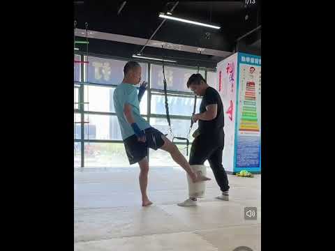 ~子甄彣璟~拳擊 卡夫踢腿靶 泰拳 散打 格鬥 搏擊 護小腿 踢靶 低掃腳靶 訓練腳靶