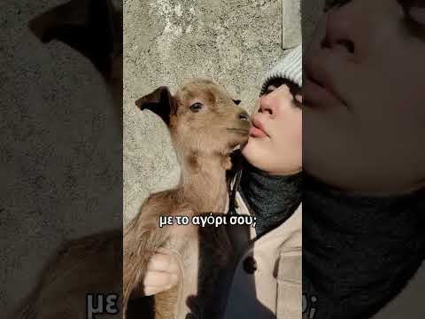 Το Λενάκι με το κατσικάκι