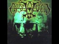 Enslaved - Norvegr