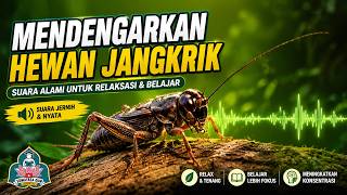 Download lagu SUARA JANGKRIK, SUARA PIKAT JANGKRIK, KRICKET SOUND mp3 Download lagu SUARA JANGKRIK, SUARA PIKAT JANGKRIK, KRICKET SOUND mp3