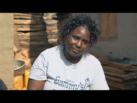 Shamba Shape Up Sn 5 - Ep 14: Tissue Culture Banana, Soil Test, Farmer Groups, Dairy Cows (English)