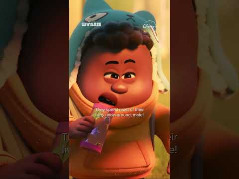 afbeelding This is Ira...he's cool