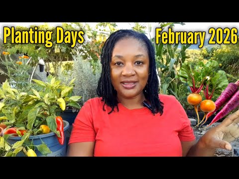Planting By The MOON Will Make The Difference In Your Garden/February Planting Days