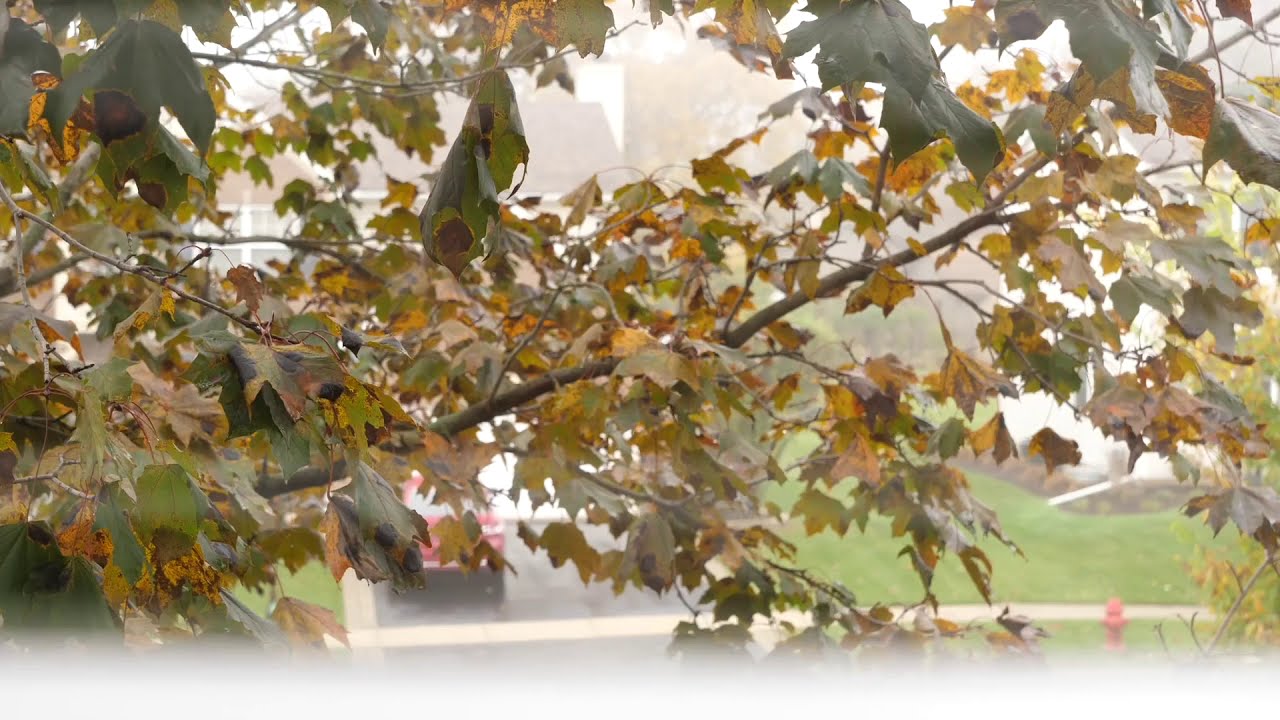 Video Diary 9 - Montage