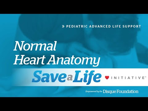 4a. Normal Heart Anatomy, Pediatric Advanced Life Support (PALS) (2020) - OLD