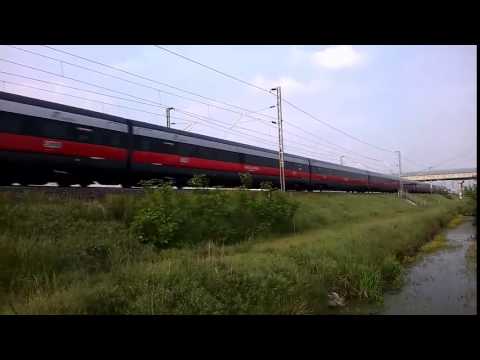 L'urlone della Freccia!!