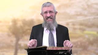 מסכת מנחות דף קא - 8 דקות של לומדות ועמקות בדרך הלימוד הישיבתית [Menachot 101]