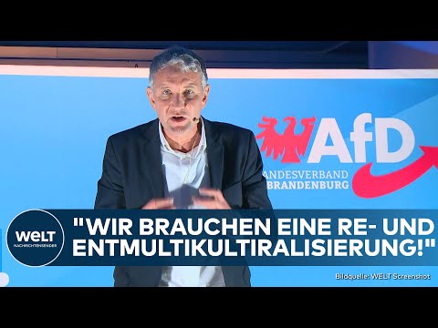 BRANDENBURG: "Multikulti ist grandios gescheitert!" Höcke bei AfD-Endspurt vor Landtagswahl