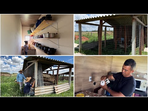 IMPROVISANDO UM CERCADO PRA SOLTAR AS GALINHAS| RAPAZ VEIO INSTALAR A INTERNET 🛜|DESPENSA ARRUMADA!!