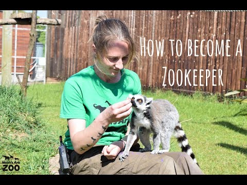 Zookeeper video 2