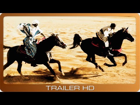 Trailer-Vorschau: Der schwarze Hengst kehrt zurück