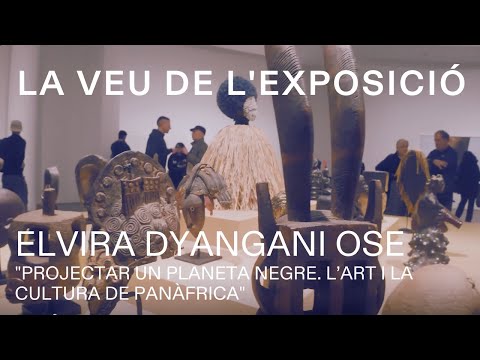Elvira Dyangani Ose | La voz de la exposición | MACBA