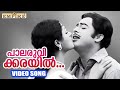 പാലരുവിക്കരയിൽ Paalaruvikkarayil Padmavyooham Movie Song Malayalam Everg