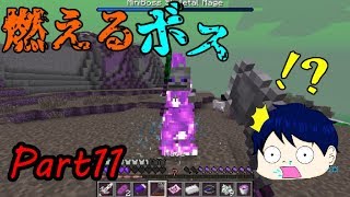 【Mod実況】魔法使いに転職したらアレを見つけたPart11