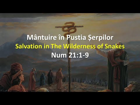 Crinisor Stefan - Mantuire in Pustia Serpilor - June 7 Morning, 2020 Sunday Morning