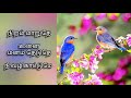 En Thedal Nee Song Lyrics Iraiva Iraiva Song Lyrics Christian Song