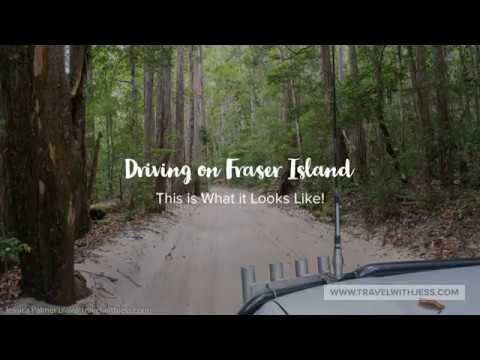 Driving on Fraser Island - This is What it Looks Like!