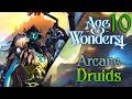 Age Of Wonders 4 Arcane Druids 10