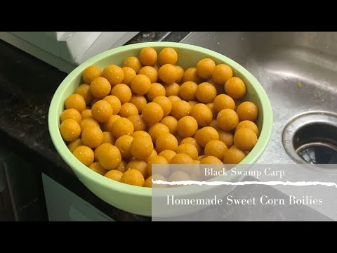 Homemade Sweet Corn Boilies for Carp Fishing