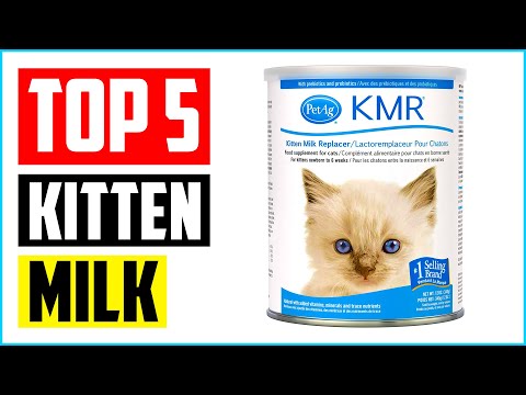 Top 5 Best Kitten Milk Replacers & Formulas in 2022  Reviews