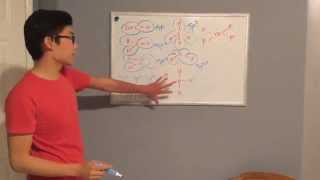 Hybridization Shortcut