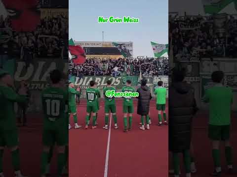 Chemie Leipzig Ultras | Wird es im Osten immer Dunkler | #football #ultras #shorts #tiktok