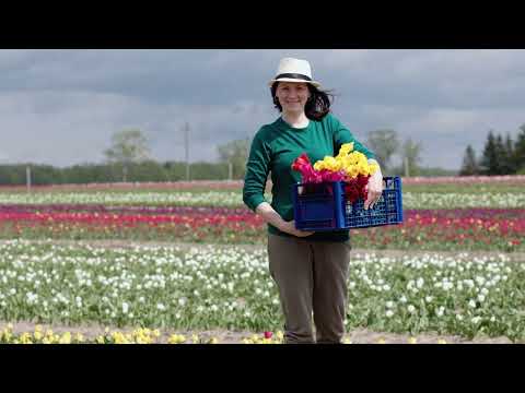 ACS | Cut Flower Courses