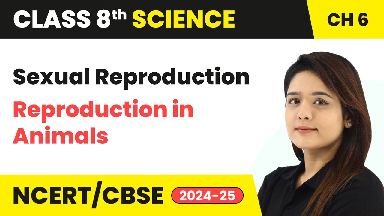 Sexual Reproduction - Reproduction in Animals | Class 8 Science Chapter 6 #cbse