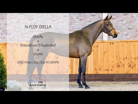 N-Floy-Diella (v.Chacfly x Emerald)