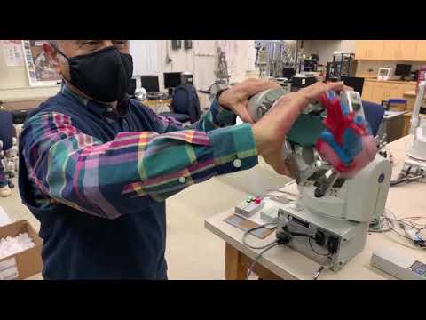 image-What do bioengineering researchers do?
