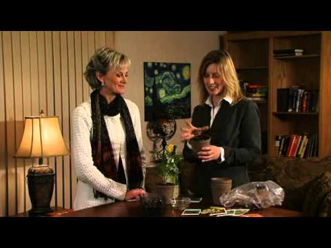 A Word for Women: Plant the seed and God will grow it!