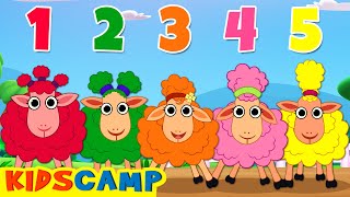 Five Cute Sheep | Learn To Count With KidsCamp Nursery Rhymes
