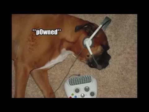 Mega64 Podcast 345 - Tumblverse