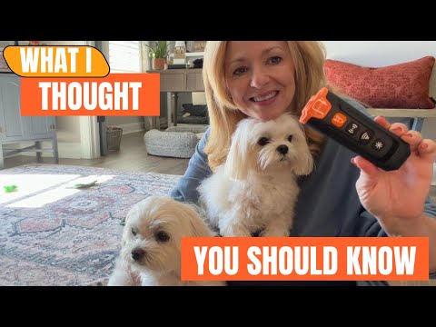 Stop Dog Barking Fast – ATVIOO Device Review & Demo #ad