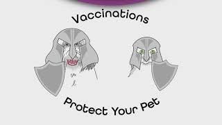 Importance of Vaccines – Dogs and Cats