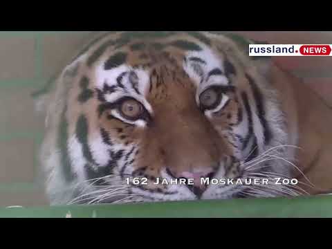 162 Jahre Moskauer Zoo