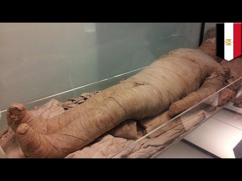 Akan peningkatan penis Saya ingin anak laki-laki dengan penis kecil