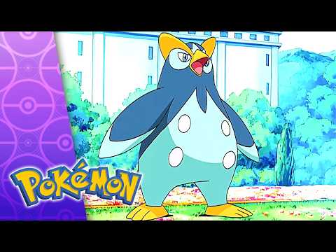 Getting The Pre-Contest Titters! | POKÉMON FULL EPISODE 26 | Season 10