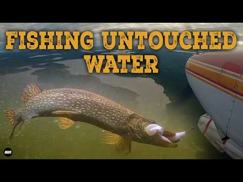 Fishing Untouched Water — Pike That Have NEVER Seen a Lure in Saskatchewan