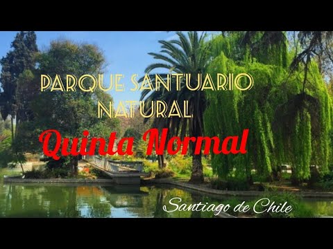 Expedición por Parque Quinta Normal |Chile, Región Metropolitana| Declarado Santuario Natural.