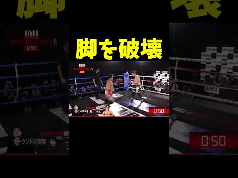 強烈なカーフキックでポーランドの刺客の脚を破壊するてる君