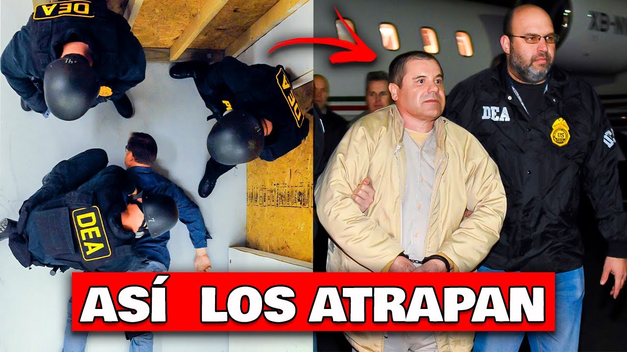 El día que NACIÓ la DEA - La ORGANIZACIÓN que ATRAPÓ al CHAPO GUZMÁN