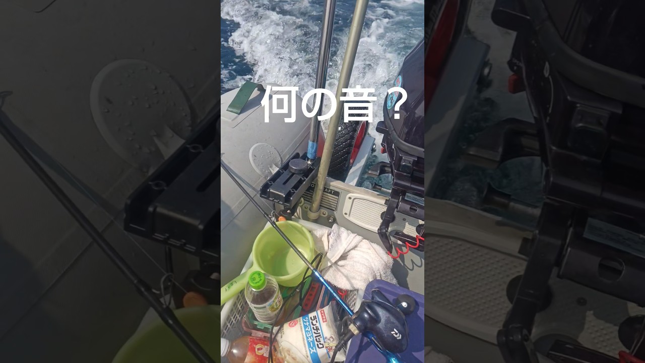 トーハツエンジンまた不調　フルスロットル出来ん😭