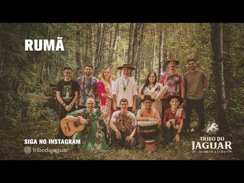Rumã - Tribo do Jaguar