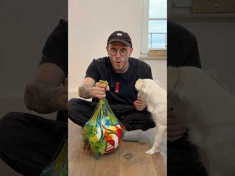 Wie viele STICKY-HANDS brauche ich für 1 BALL?! #challenge #ball # stickyhands #hund #vlog #comedy