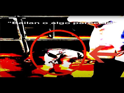 Parkineos - Las Criaturas No Molestan [VIDEO OFICIAL] (Tributo a Rave de la Peza)