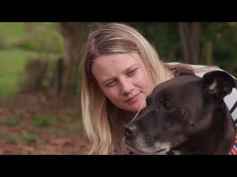 Rescue dogs changing young lives Nelson ARK &amp; ANZ Bank