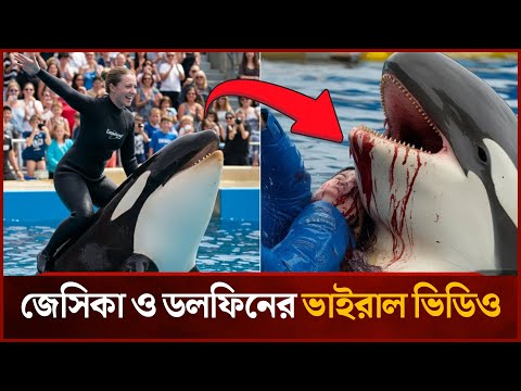 ডলফিনের ভাইরাল ভিডিওটির ঘটনা কতটুকু সত্য? | Jessica Whale Fake News | News