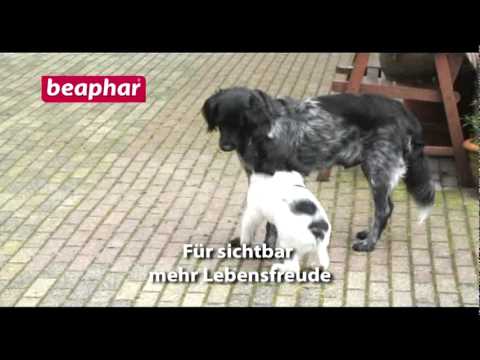 Behandelte Folie Rücken und Gelenke Adamsapfel für die Behandlung von Gelenken